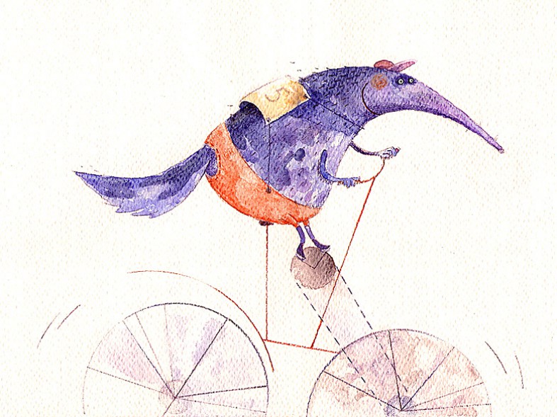 Anteater On a Bike